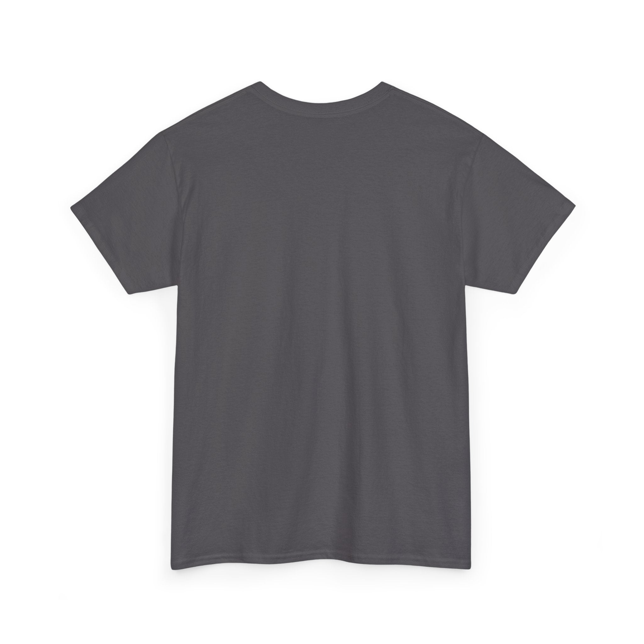 It's a Great Day to Be a Tiger T-Shirt — Vintage Tiger Head Graphic Tee